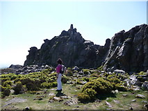 SO3698 : Manstone Rock, summit of the Stiperstones ridge by Jeremy Bolwell