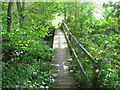 Footbridge in Sluice Wood (2)