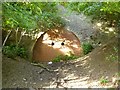 Newbold-Disused Canal Tunnel