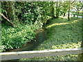 Ducks paddling upstream from Cobbsmill Bridge