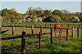 SK9743 : Pony paddocks at Willoughby Moor by Simon Mortimer