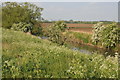 River Thames near Water Eaton