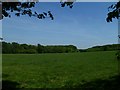 Field by Petsalls Copse