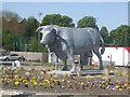 Bull sculpture on roundabout on Town Meadows Way