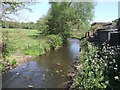 River Tean - upstream at Teanford