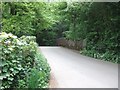 Chercombe Bridge over River Lemon