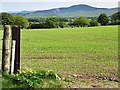 Arable field near Langside Farm