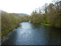 SD3483 : River Levens from Low Wood Bridge by Alexander P Kapp