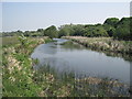 River Itchen at Winnall Moors