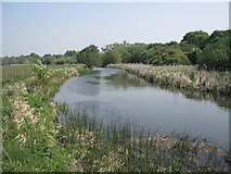 SU4930 : River Itchen at Winnall Moors by Caroline Maynard