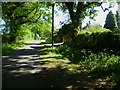 Looking south on Toat Lane at Pallingham Lock Farm