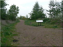SE4326 : Wheldale Trail by bernard bradley