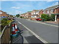 Cones in Dundonald Close