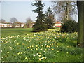 Shoulder of Mutton Green in springtime