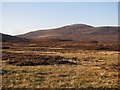 NN9278 : Grasslands beside the Tarf by Richard Webb