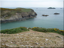 SM8023 : Rocks and islands off Solva harbour by Jeremy Bolwell