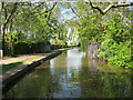 Canal near Trentham