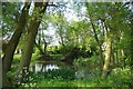 Pond at Wyfields Farm