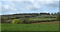 2011 : Fields near Western Farm, Cranmore