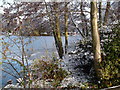 Poole Park little lake in the snow