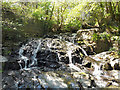 Fairy Falls at Trefriw