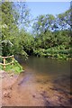 The River Thame at Drayton St Leonard