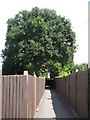 Footpath between Hillcrest View and Upper Elmers End Road, BR3 (3)