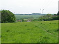 Grassland, Tisbury