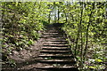 Helmshore:  Wooden steps