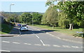 Blackwater Close trees, Bettws, Newport