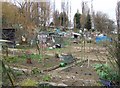 Allotments, Honor Oak Park