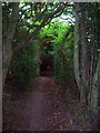 Holloway and Bridleway