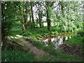 Footbridge over the River Winterborne, Sturminster Marshall