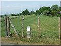 Flood Defences, Sturminster Marshall