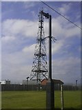 TL1810 : Radio Mast by Gary Fellows
