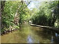 Caldon Canal approaching Froghall Wharf