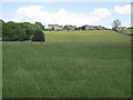 Pasture land on the edge of Edgworth