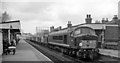 Diesel-hauled  empties passing Long Eaton Station