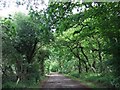 Track to Decoy Farm, near A46