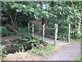 Footbridge over The Beck, High Broom Wood