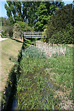 SK9226 : River Witham, Easton Walled Gardens (2) by Kate Jewell