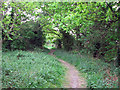 Path on old railway track