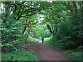 Footpath on the former Leen Valley Railway