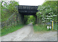 Railway bridge at Hallen Marsh