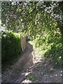 Footpath - Victoria Crescent