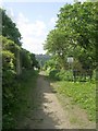 Footpath - Newlaithes Road