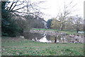 Pond on Hadley Green