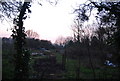 Allotments on the edge of Hadley green