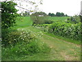 Field near Castle Farm