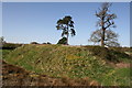 SJ4159 : Aldford Motte and Bailey Castle (Blobb Hill) by Jeff Buck